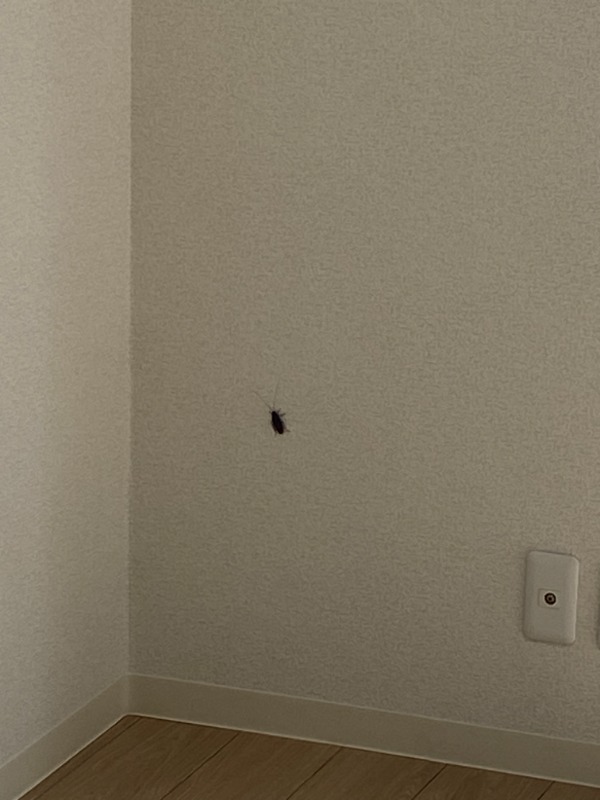 パークステュディオ堀切菖蒲園Ｂ1階 部屋その他