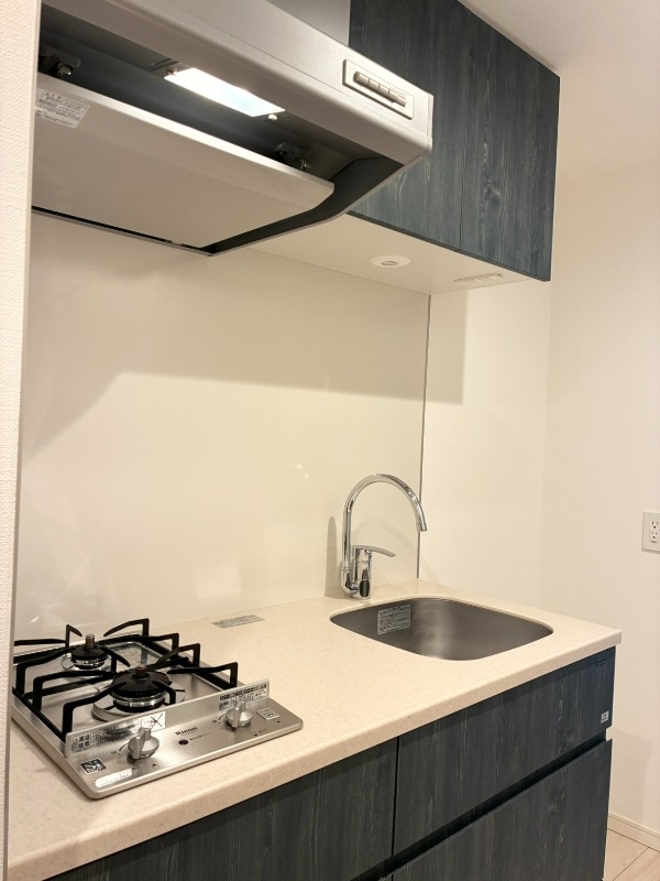 エルスタンザ文京千駄木5階 部屋その他