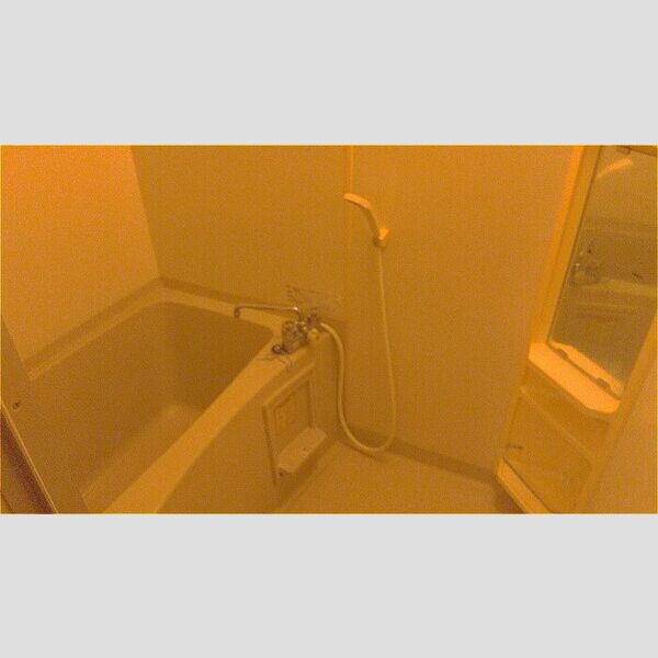 ステイ ドリーム ヒロ 浴室