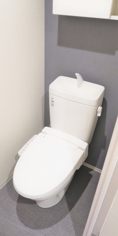 ロイジェント大山西町2階 トイレ