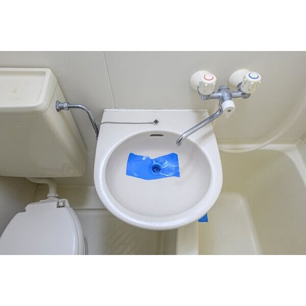 第12明智ビル0202号室 洗面