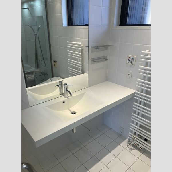 SUCCEED GARDEN　AC-1号室 洗面台