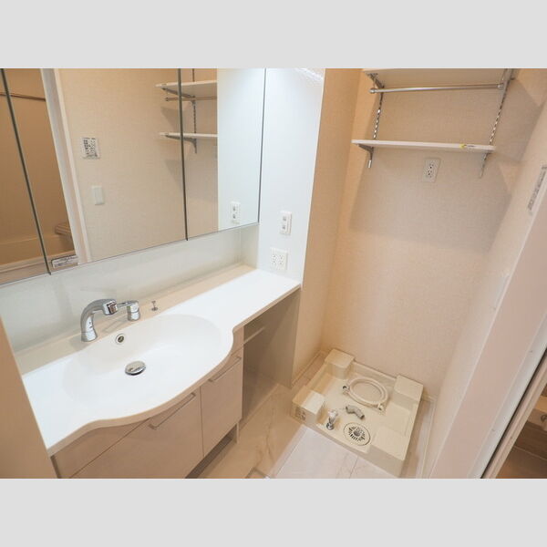 COLINA DO SOL(コリーナ ド ソル)102号室 洗髪洗面化粧台