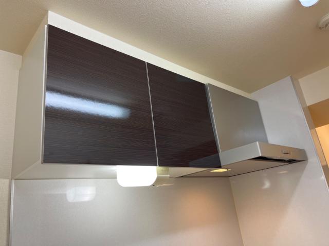 Ｒｉｔｚ　Ｇｒａｎｄｅ102号室 キッチン収納
