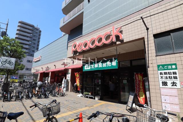 カスタリア雪谷2階 ピーコックストア石川台店