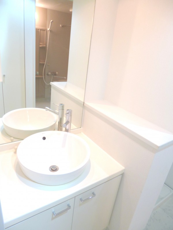 レニール本駒込8階 洗面