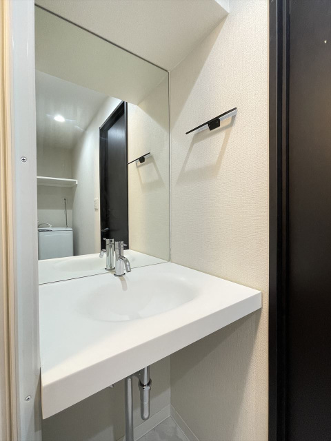 スカイコート東日本橋1001号室 洗面