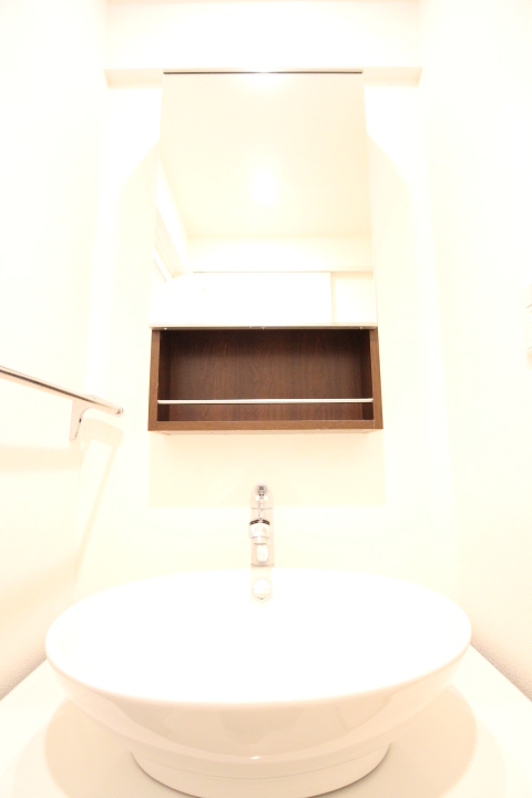 プライムアーバン千駄木204号室 洗面