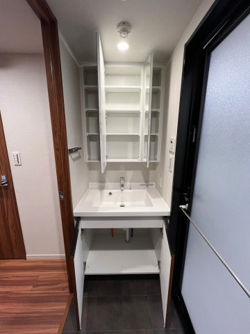 DIPS上野NORTH1003号室 収納