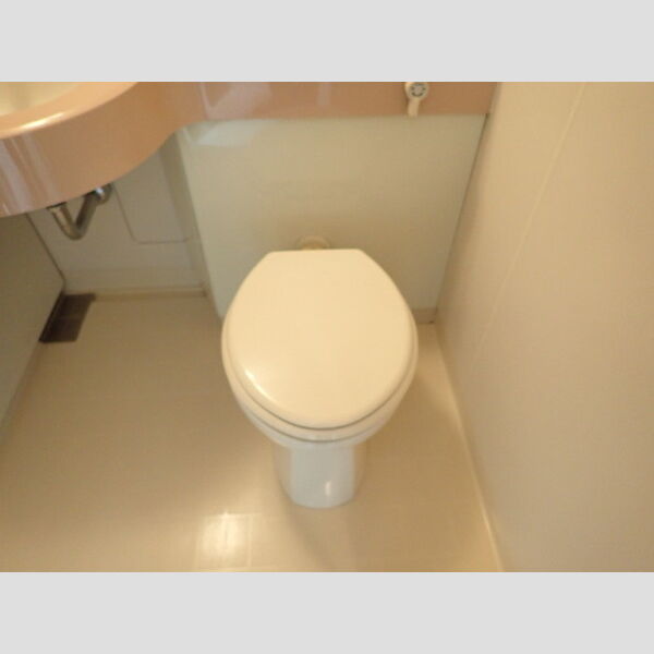 germer武蔵中原(ジェルメムサシナカハラ)311号室 トイレ(ユニット)