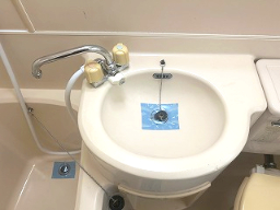 セフィール程久保105号室 洗面