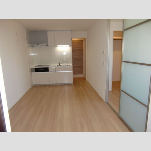 ラフィネサツキ301号室 部屋その他