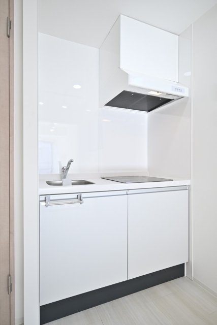 Ｌｕｐｉｎｕｓ目白台3階 キッチン