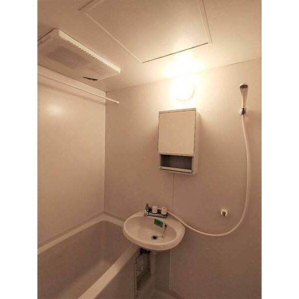 CASA　GRANDE　M30101号室 洗面