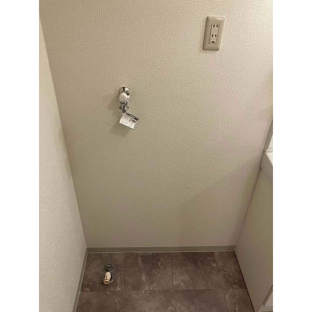 サニーレジデンス平塚Ⅰ203号室 洗濯機置き場