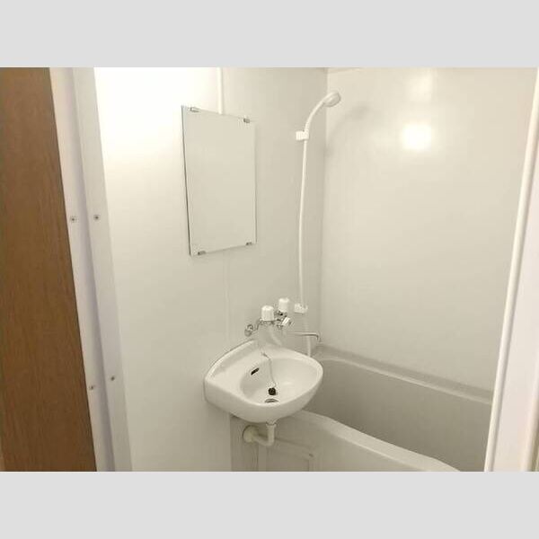 メゾンファインⅢ203号室 洗面