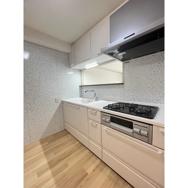 ソレイユ溝の口0303号室 内観