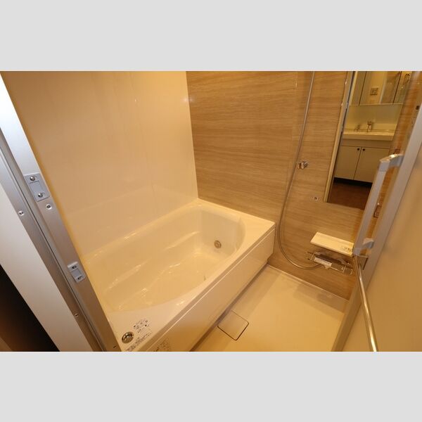 THE RejuvePort KISARAZU0801号室 浴室