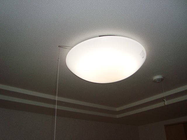 エバーシャインＳＯＧＡ202号室 照明（設備）