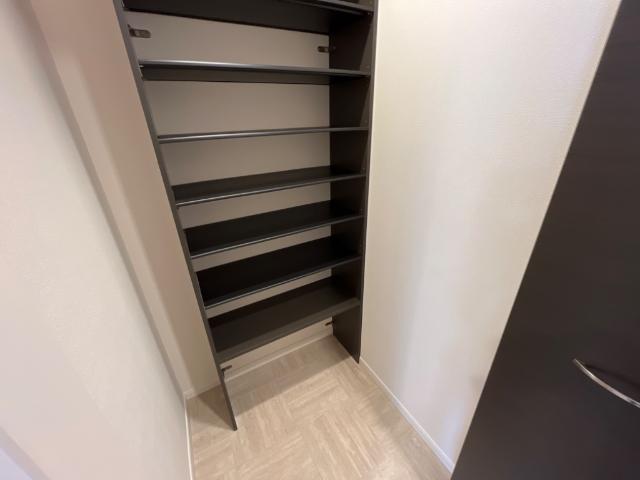 ハナミズキ 下駄箱