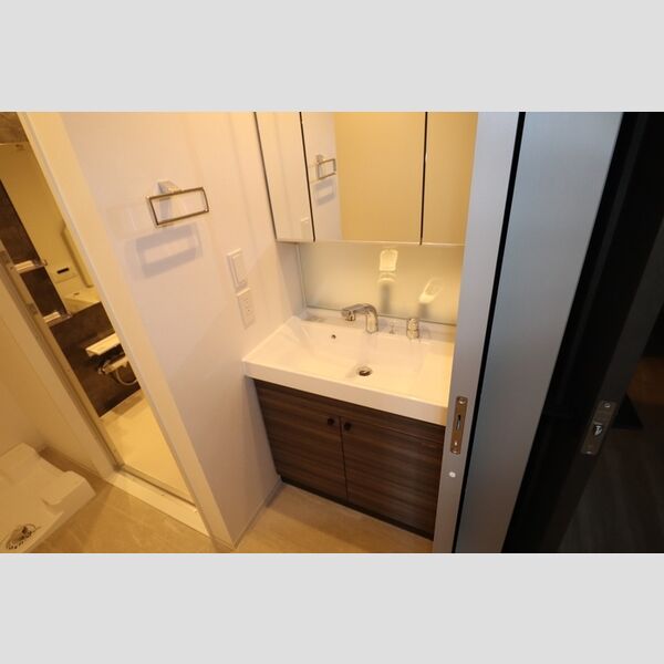 THE RejuvePort KISARAZU0703号室 洗髪洗面化粧台