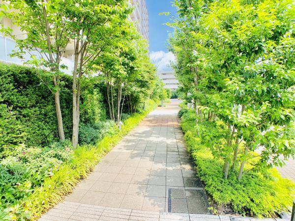 Ｂｒｉｌｌｉａときわ台ソライエレジデンス12階 部屋その他