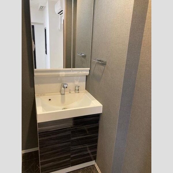 S-RESIDENCE綾瀬rivie 洗面