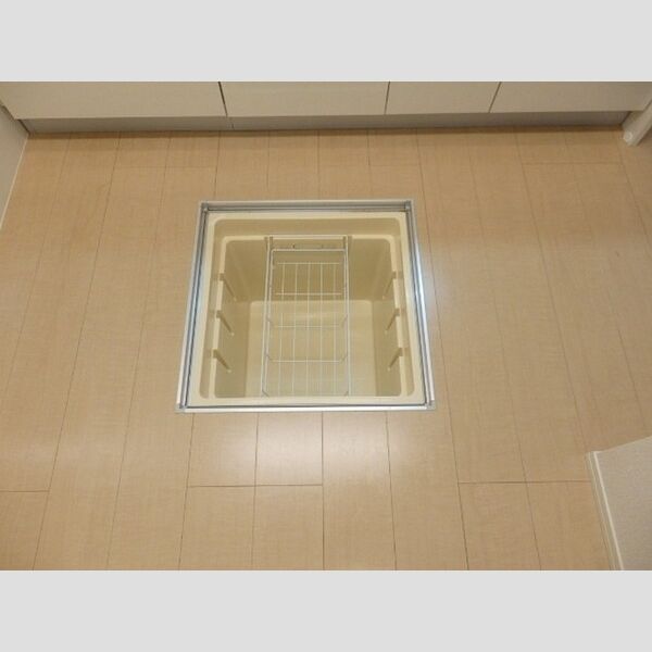 ウィル　ステージ101号室 床下収納