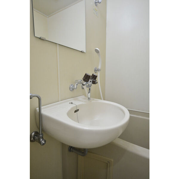 メゾン・ド・プレーヌ0111号室 洗面