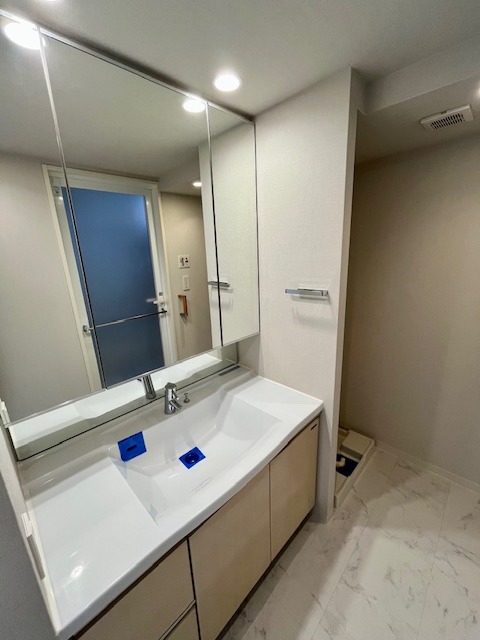 レジディアタワー上池袋（タワー棟）7階 洗面