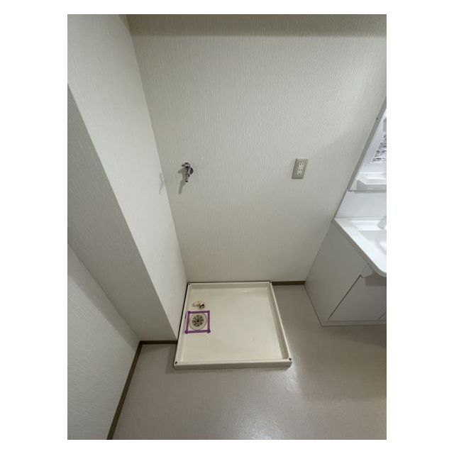 グリーンフィールド大山1402号室 洗濯機置場