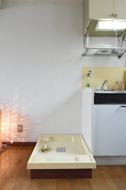 Ｒｅｓｉｄｅｎｃｅ　Ｅｘｃｅｅｄ2階 室内洗濯機置場/※家具・小物はイメージです。