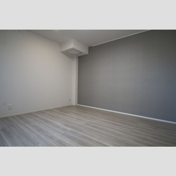 セレスティア大谷田Ⅱ301号室 洋室