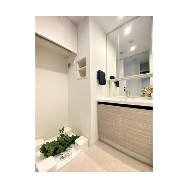 ジオエント中野202号室 洗面