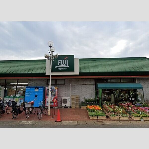 D Paina 菅A FUJI　稲田堤店