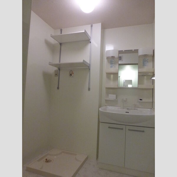 シャトレーウエスト明神206号室 洗面所