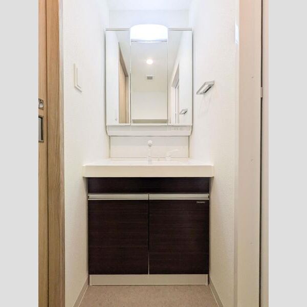 S-RESIDENCE東浦和agua 洗面