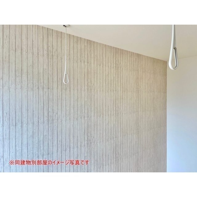 Ｋｕｍｕｋａｈｉ　Ｔｅｒｒａｃｅ101号室 ☆20230225工事中写真