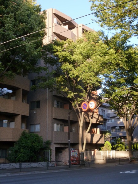 プレールアパートメント芦花公園205号室 外観