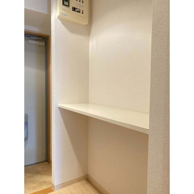 レオグランデ 玄関・収納棚