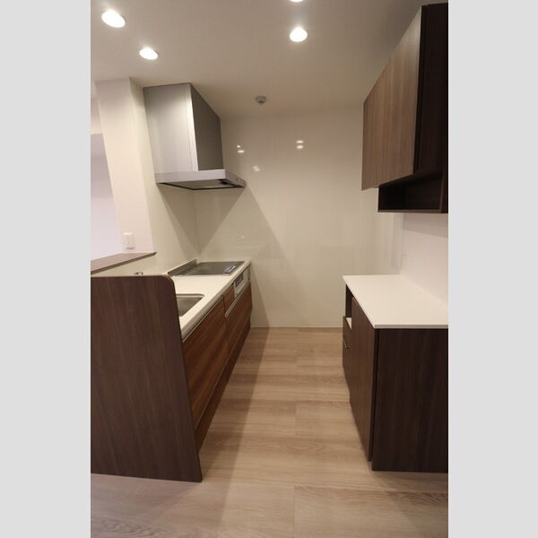 ユートリー　Ⅲ205号室 システムキッチン