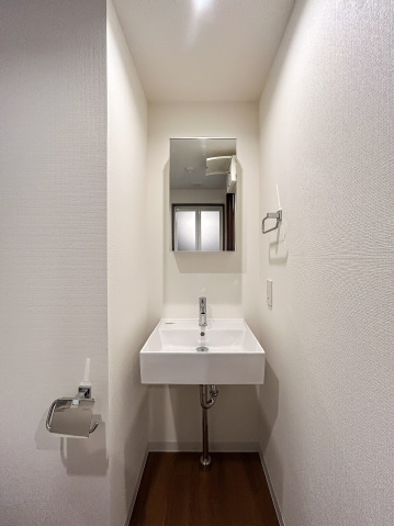 スカイラシクラス平和台102号室 洗面