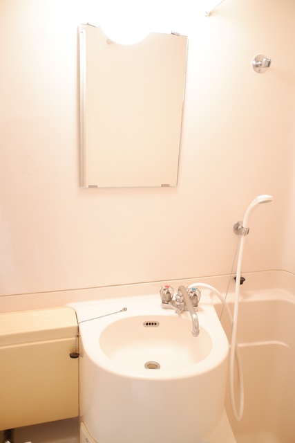 ジョイフル目黒洗足508号室 洗面