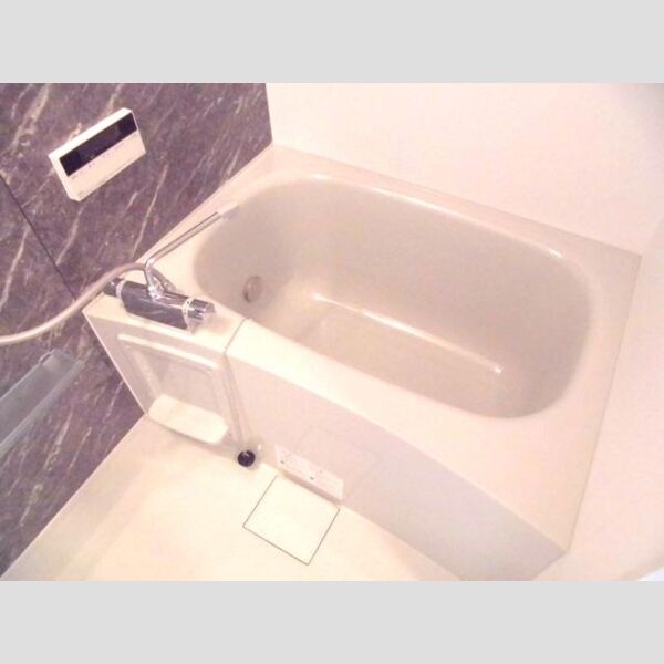 フェアリーシャトー303号室 浴室