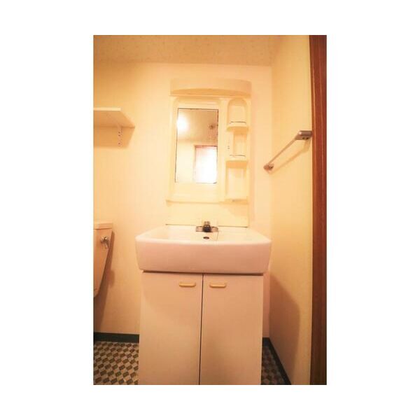 ベルカント相模大野403号室 洗面