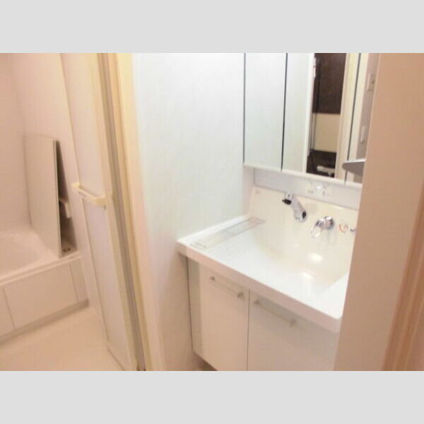 ルシェリア一番館・二番館 洗面所