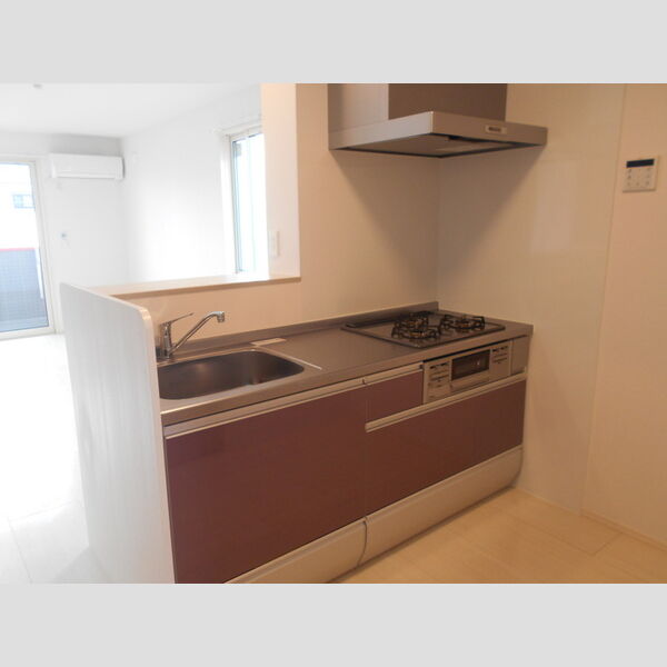 アンリシール・レイク203号室 キッチン