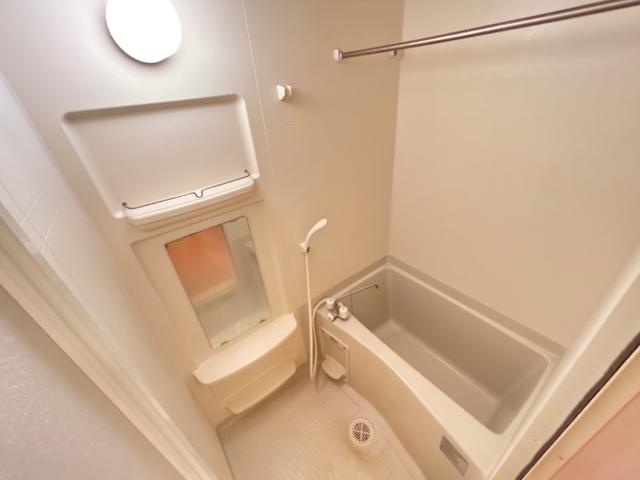 ラッフィナート田園102号室 ユニットバス