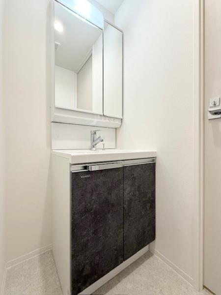 エレミ本蓮沼5階 洗面