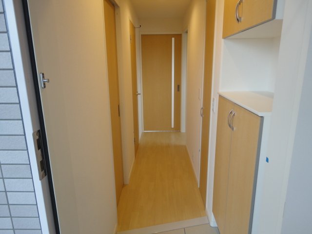 Ｌｅ　Ｃｉｅｌ　Ｂｌｅｕ(ルシエルブルー)308号室 玄関～廊下